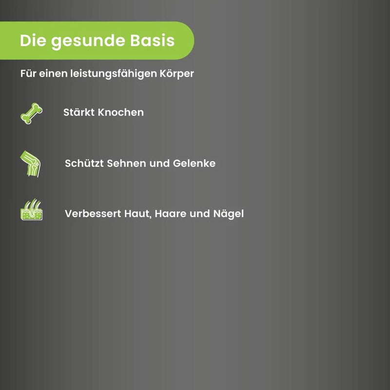 Optimum Performance Fundament - wodstore